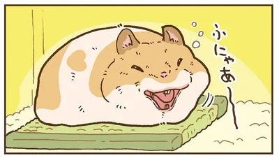 序の口