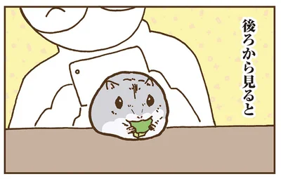 後ろから見ると