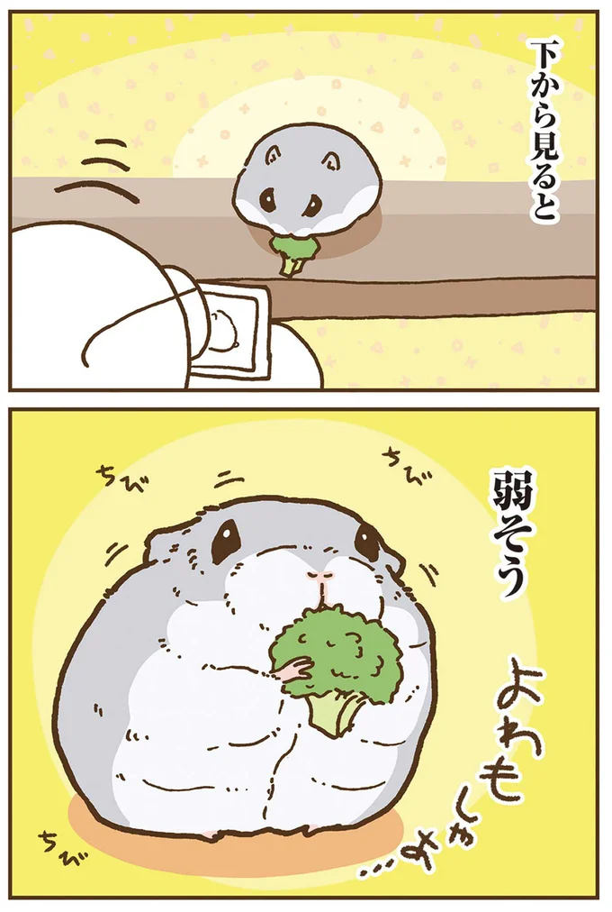 下から見ると弱そう