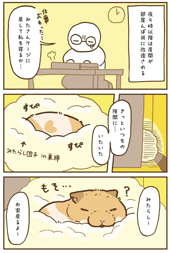 夜9時以降は居間が部屋んぼ用に改造される