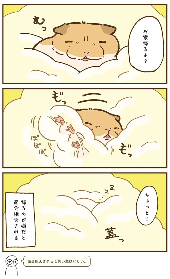 お家帰るよ？