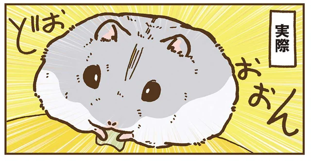 ほお袋が膨らんだハムスターを上から見たら。伝説の生き物だった！／今日もハムスターから目が離せない！（20）