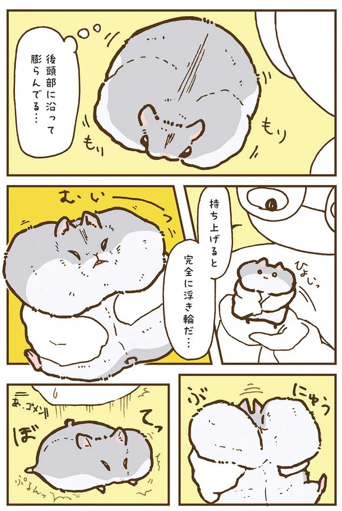 持ち上げると完全に浮き輪だ