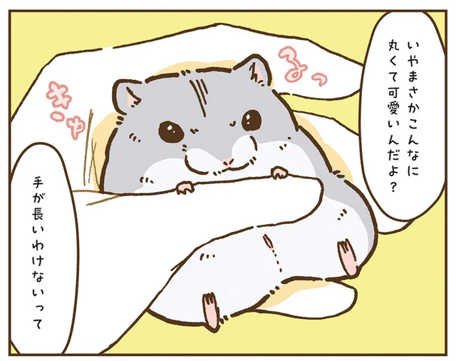 手足が長い？まんまるハムスターの意外な事実／今日もハムスターから目が離せない！（21）