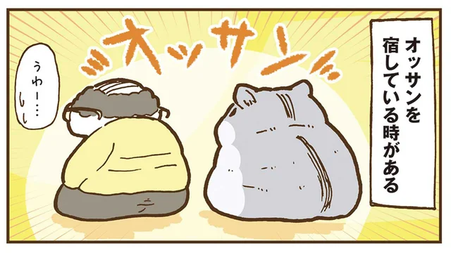 天使のような可愛さはどこに？オッサンを宿すハムスター／今日もハムスターから目が離せない！（22）