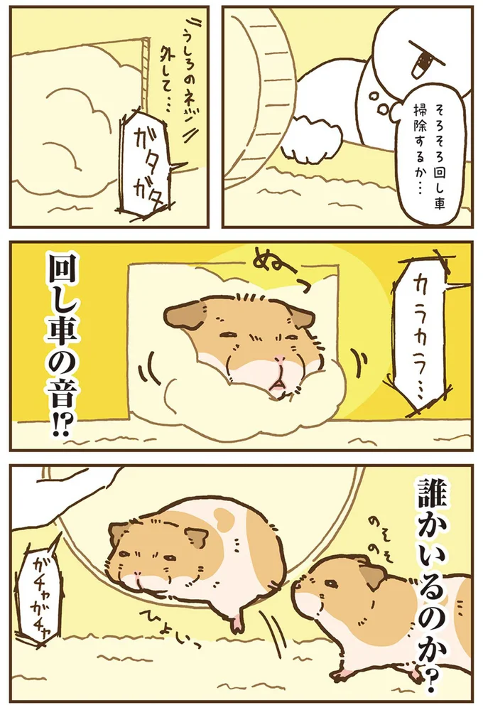 そろそろ回し車掃除するか...