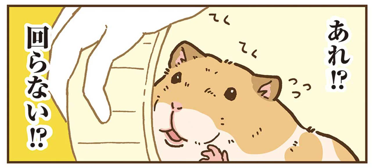 なんで乗ってんの？」回し車を掃除したらハムスターがどんくさい