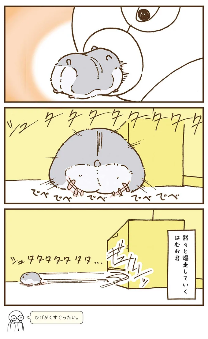 黙々と爆走していくはむお君