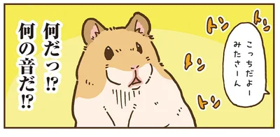 何の音だ！？