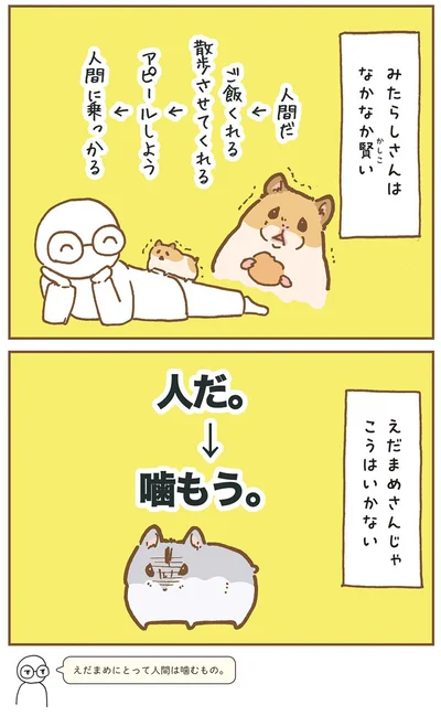 みたらしさんはなかなか賢い