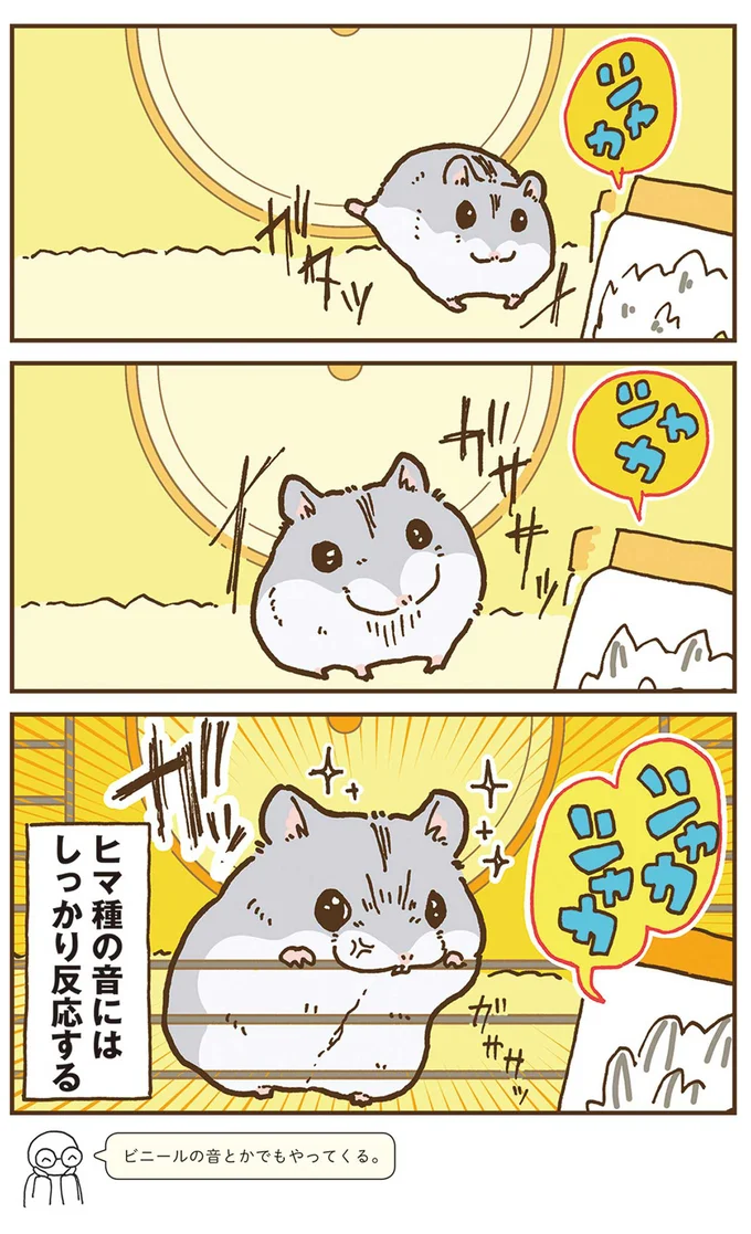 ヒマ種の音にはしっかり反応する