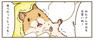 みたさん今日も可愛いねー