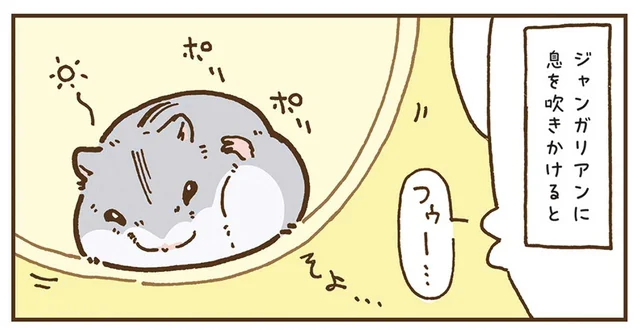 息を吹きかけてみたら。ジャンガリアンハムスターの反応が凶暴！／今日もハムスターから目が離せない！（31）