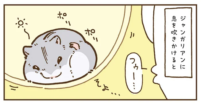 息を吹きかけてみたら。ジャンガリアンハムスターの反応が凶暴！／今日もハムスターから目が離せない！（31）