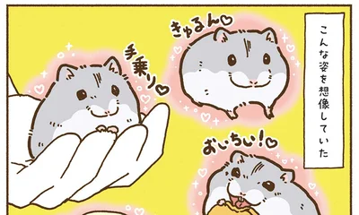 こんな姿を想像していた