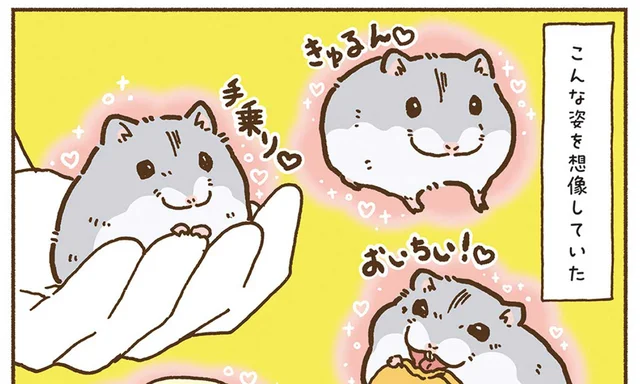 想像と現実の違い。それでもやっぱりハムスターは可愛い！／今日もハムスターから目が離せない！（32）