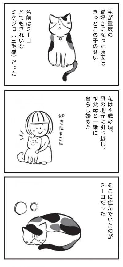 名前はミーコ