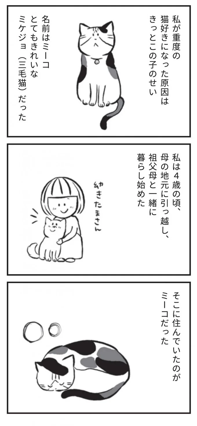 名前はミーコ