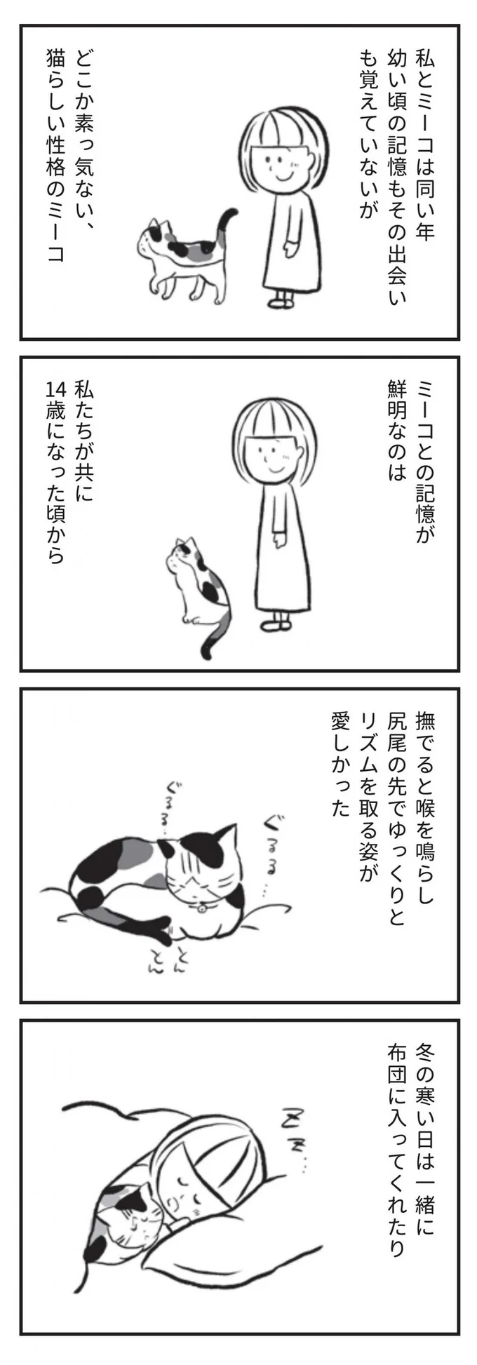 どこか素っ気ない、猫らしい性格のミーコ