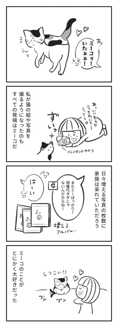 私が猫の絵や写真を撮るようになったのもすべての発端はミーコだ