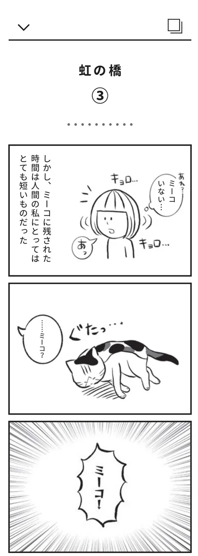 しかし、ミーコに残された時間は...