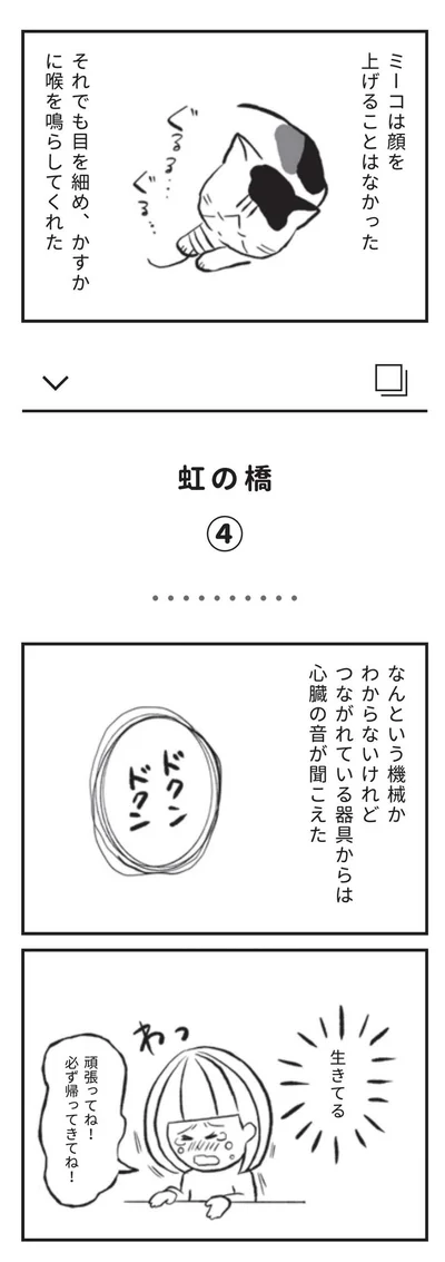ミーコは顔を上げることはなかった