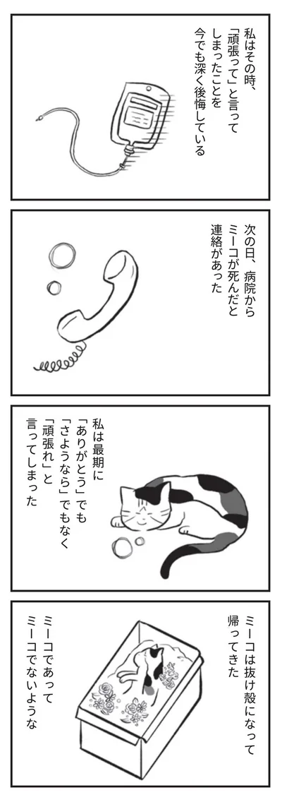 次の日、病院からミーコが死んだと連絡があった