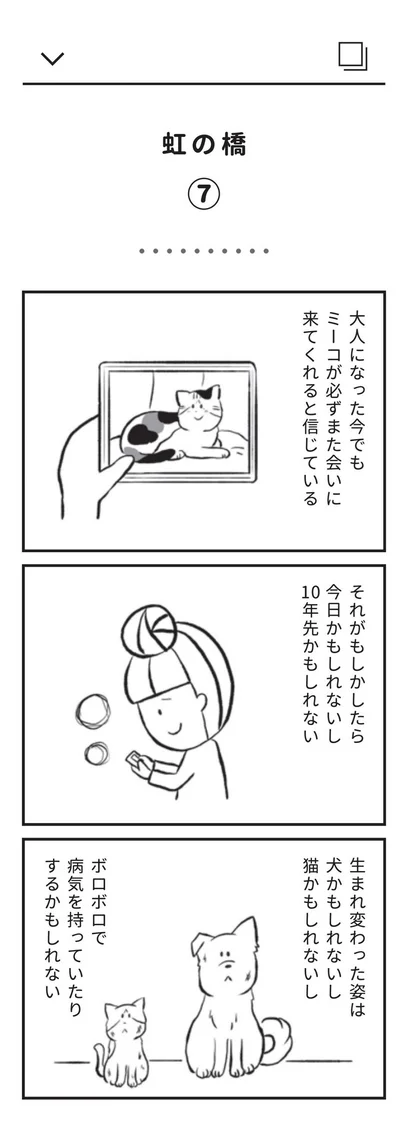 大人になった今でもミーコが必ずまた会いに来てくれると信じている