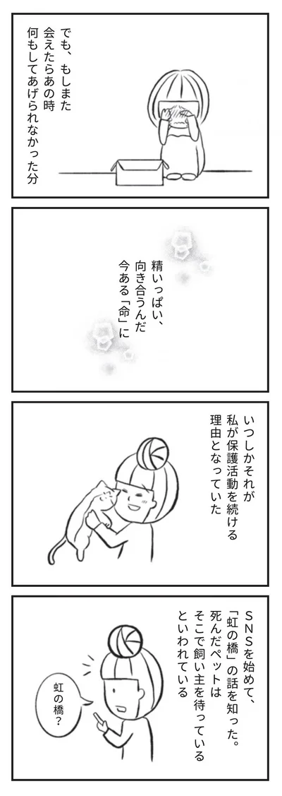 いつしかそれが私が保護活動を続ける理由となっていた