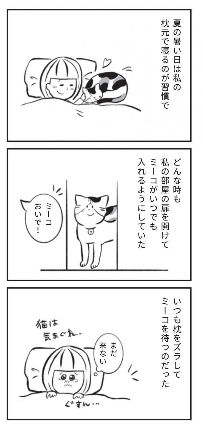 夏の暑い日は私の枕元で寝るのが習慣