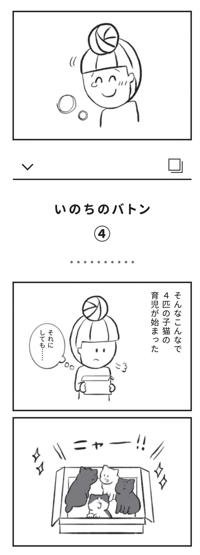 『たまさんちのホゴネコ』より