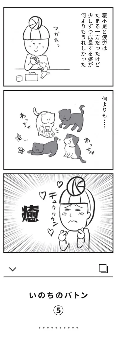 『たまさんちのホゴネコ』より