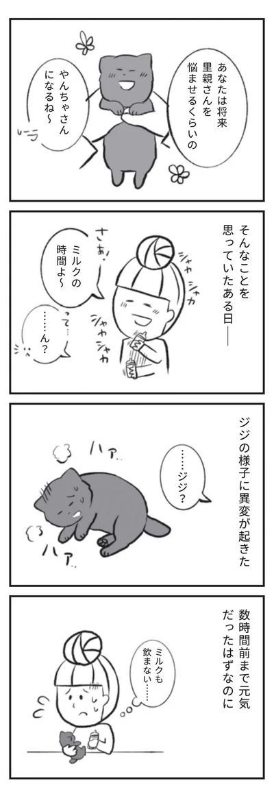 『たまさんちのホゴネコ』より