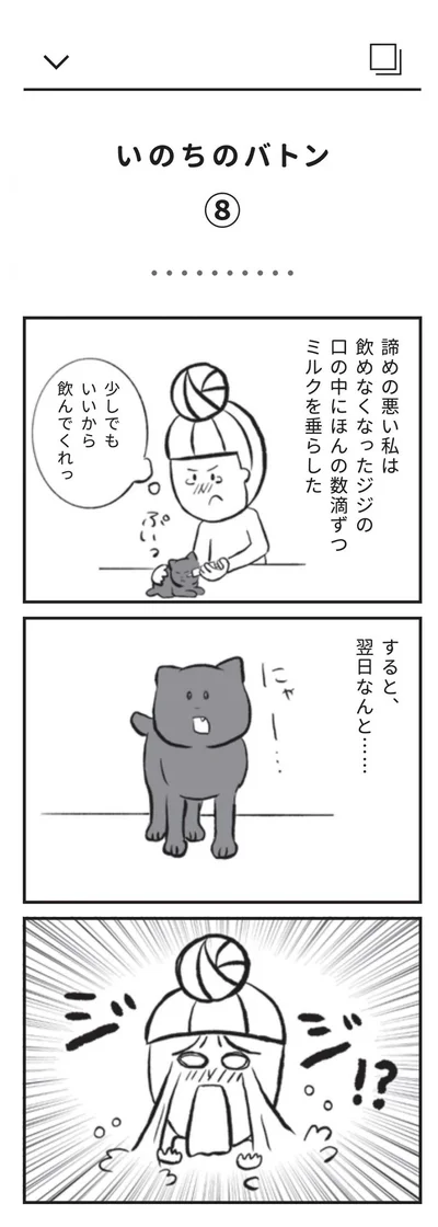 『たまさんちのホゴネコ』より
