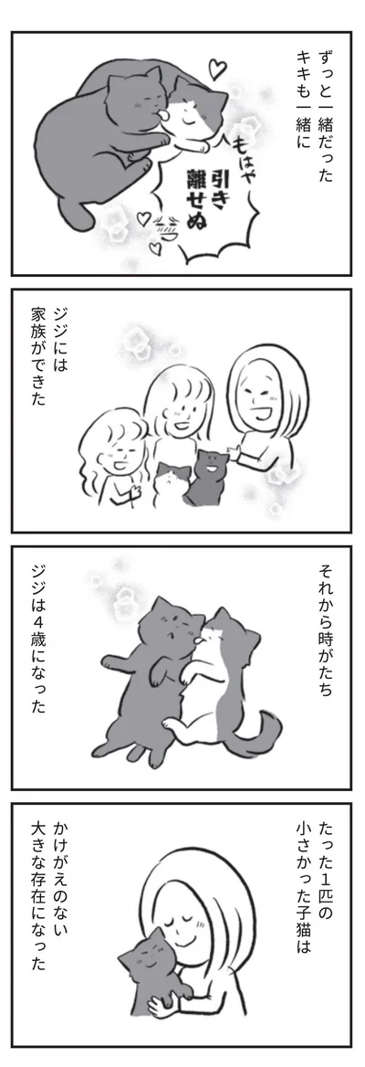 『たまさんちのホゴネコ』より