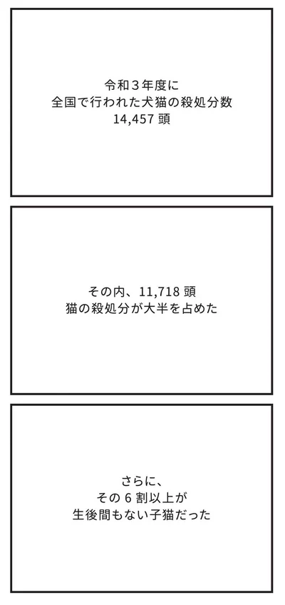 『たまさんちのホゴネコ』より