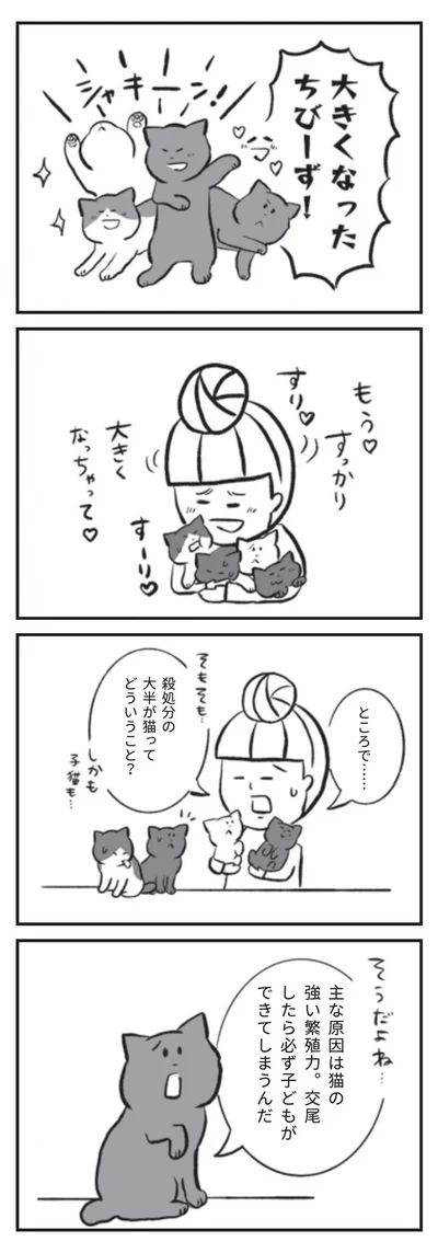 『たまさんちのホゴネコ』より