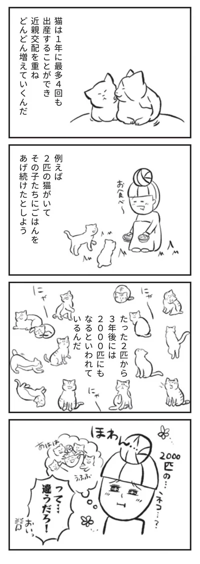 『たまさんちのホゴネコ』より