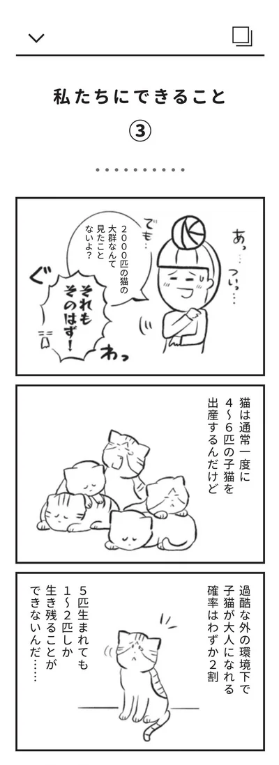 『たまさんちのホゴネコ』より