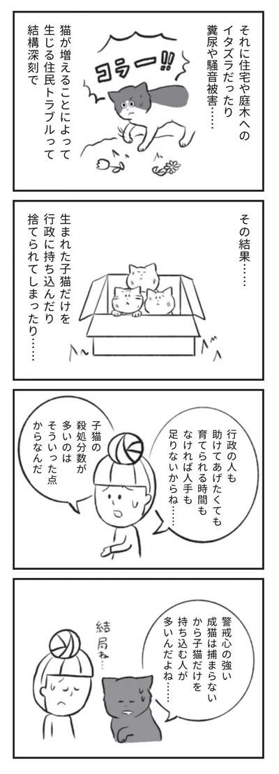 『たまさんちのホゴネコ』より
