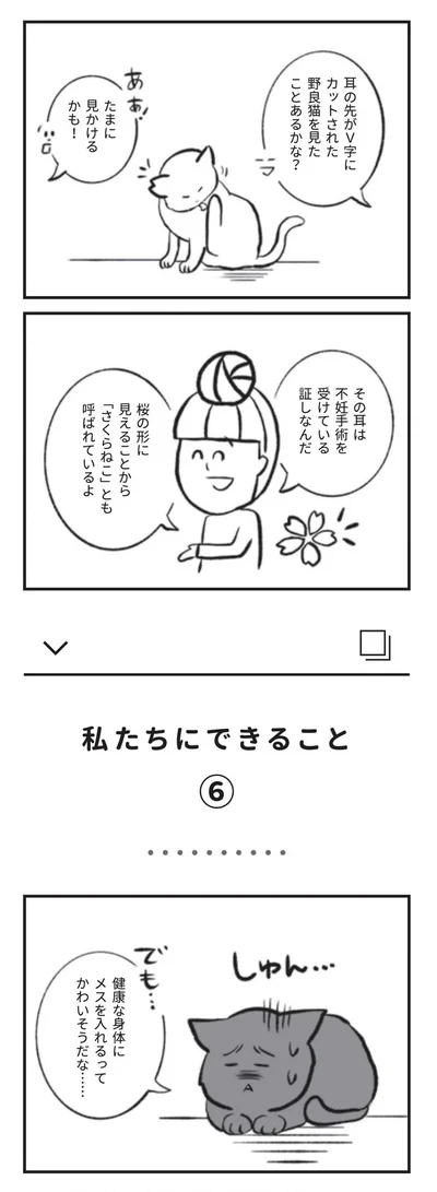 『たまさんちのホゴネコ』より