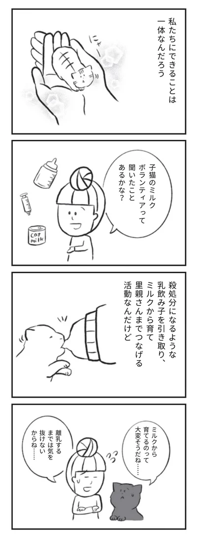 『たまさんちのホゴネコ』より