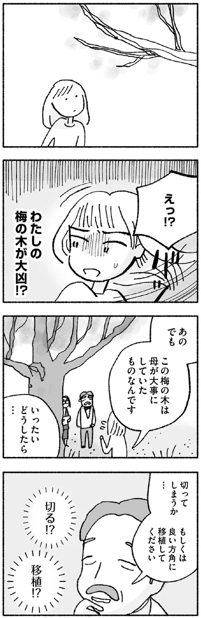 『占いにすがる私は間違っていますか？』より