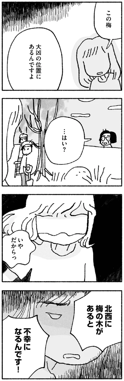 『占いにすがる私は間違っていますか？』より