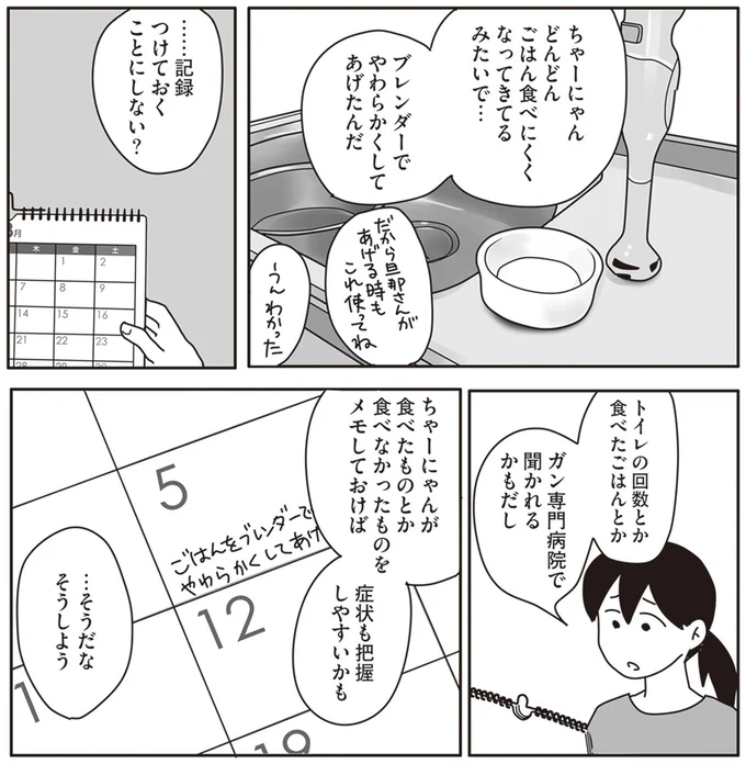 『世界一幸せな飼い主にしてくれた猫』より