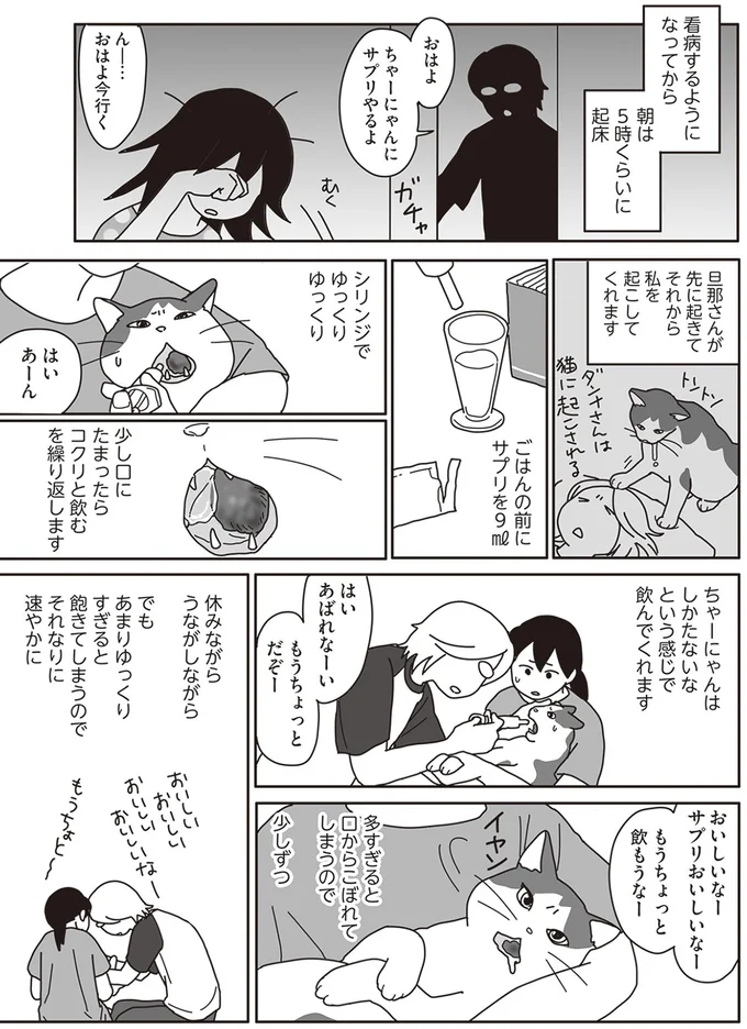 『世界一幸せな飼い主にしてくれた猫』より