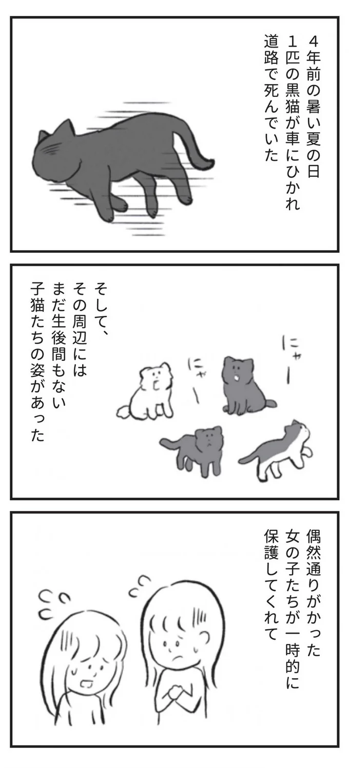 通りかかった女の子たちが一時的に保護してくれた