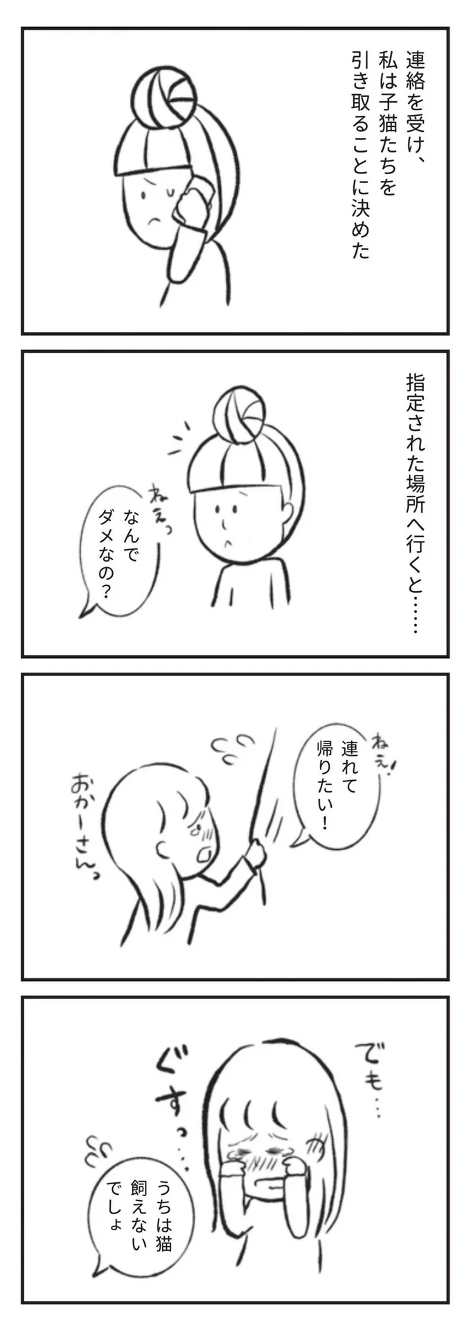 私は子猫たちを引き取ることに決めた