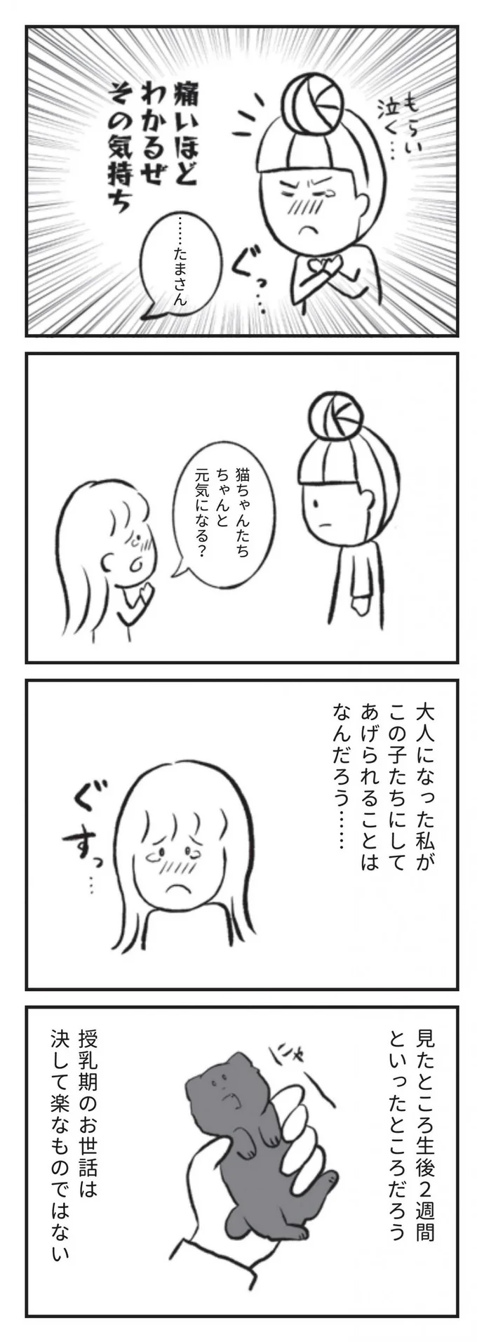 猫ちゃんたちちゃんと元気になる？