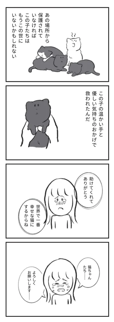 助けてくれてありがとう　世界で一番幸せな猫にするからね